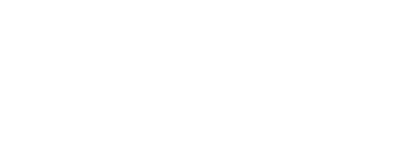 BlackHorse logo