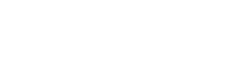 Hidden Layer white logo